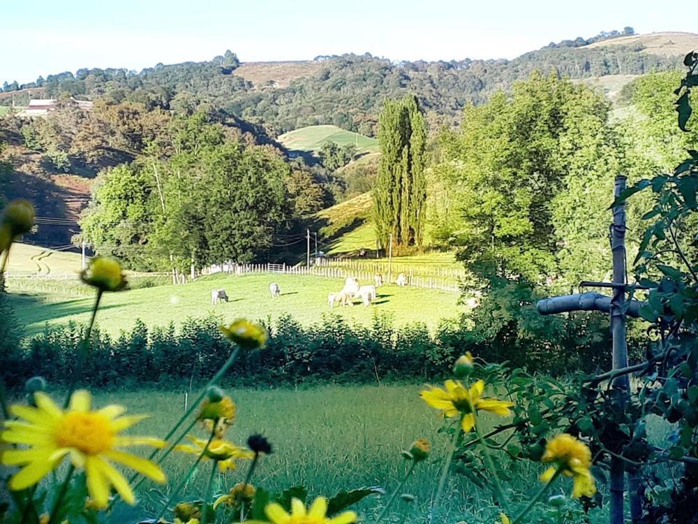 "Chez Naty" Chambres D'Hotes Au Pays-Basque Cheraute Zewnętrze zdjęcie